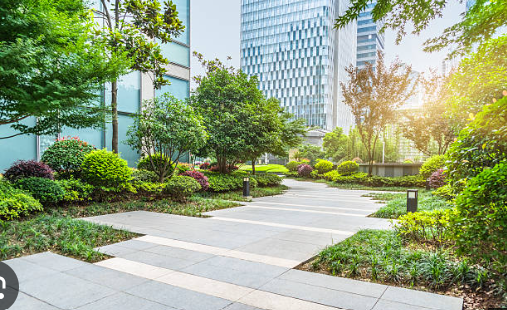 Premium landscape design