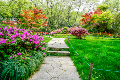 Premium landscaping project